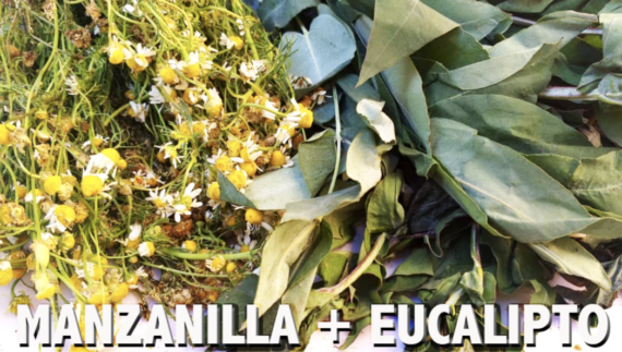 Amarro de Manzanilla y Eucalipto